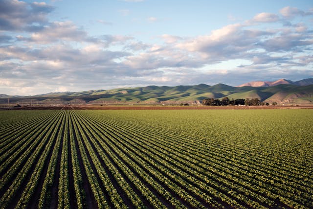 Agriculture Audoise