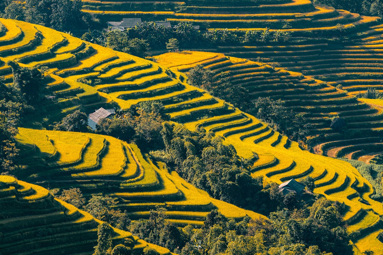 Tourisme durable au Vietnam